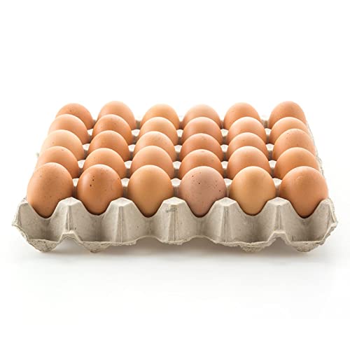 Brown Eggs