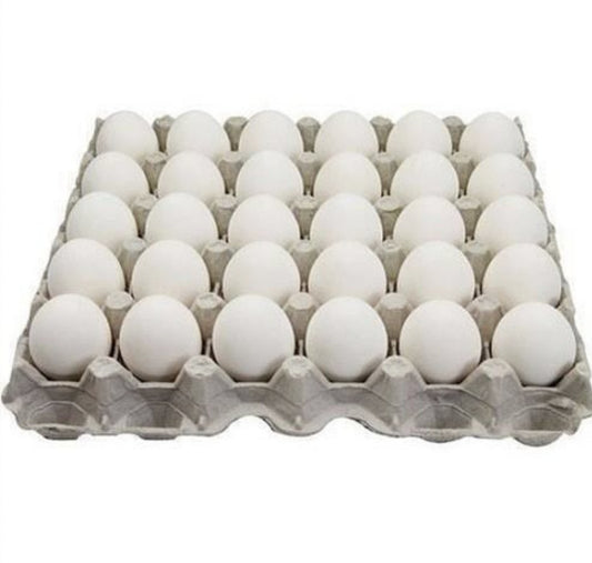 White Eggs