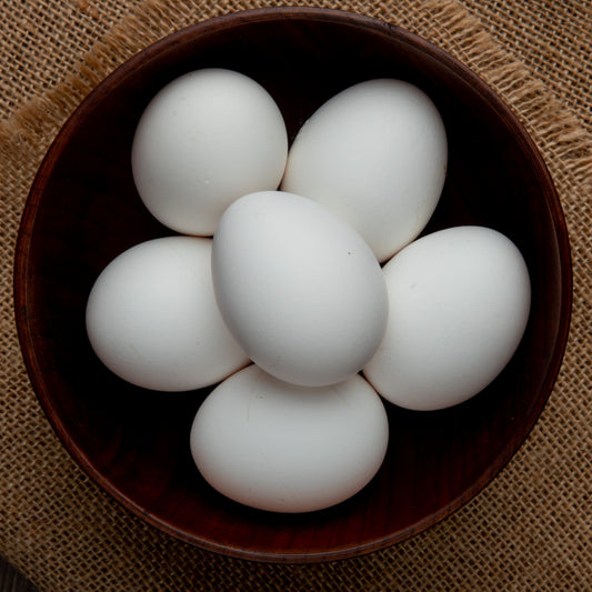 Organic White Eggs